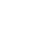 icons8 customer insight 100 1