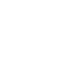 icons8 hosting 100 1