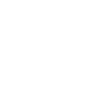 icons8 influencer 100