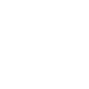 icons8 politics 100