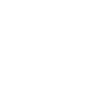 icons8 public 100