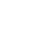 icons8 public relation 100