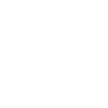 icons8 wordpress 100