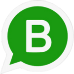 whatsapp api trans